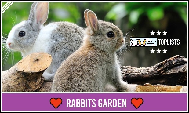 ♥ Rabbits Garden ♥
